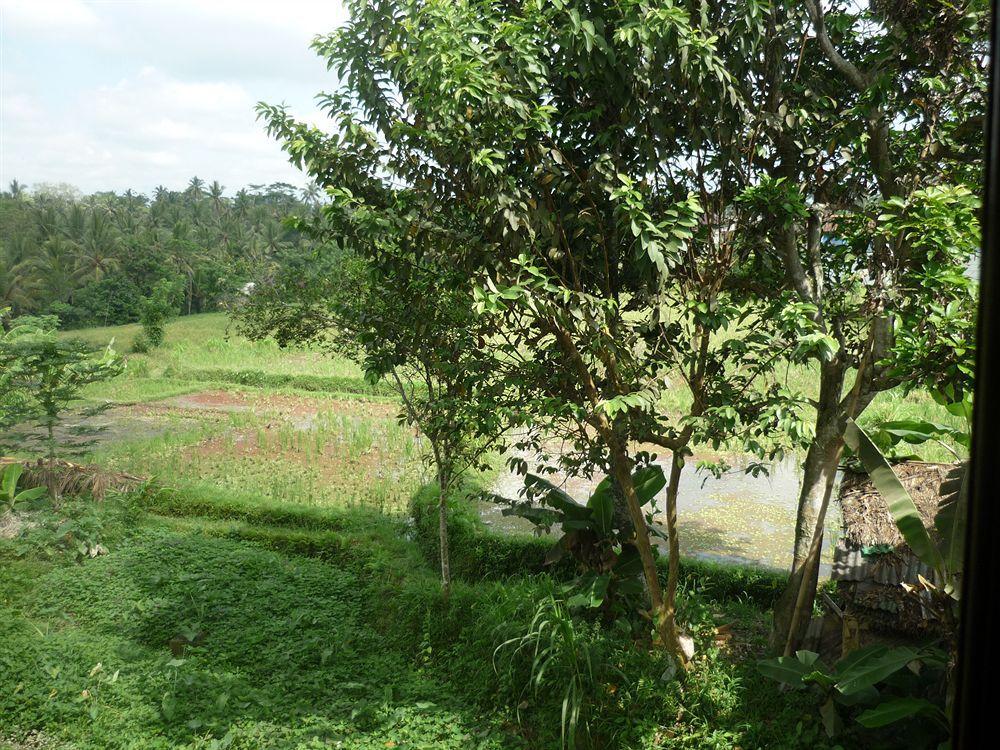 Kudos Guesthouse Ubud Bagian luar foto